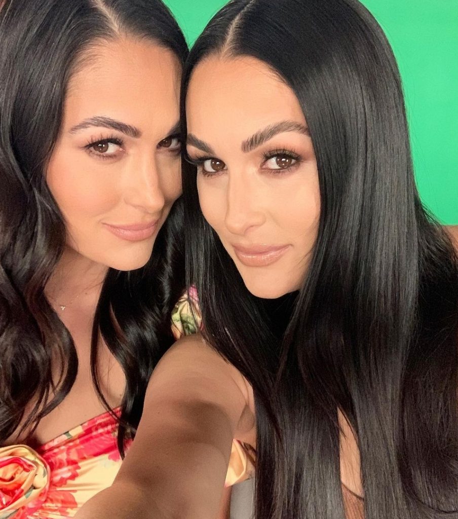 The Bella Twins
